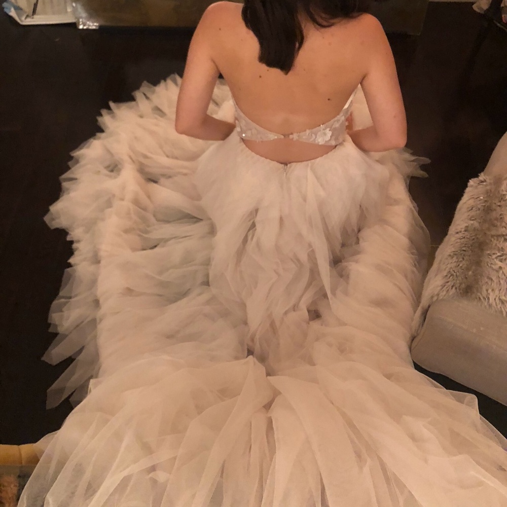 White Swan Lazaro 3654